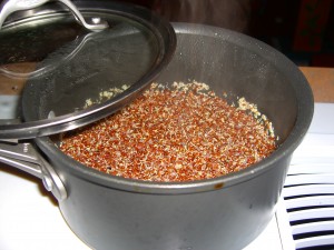 Cooked Red Quinoa by Diane Eblin