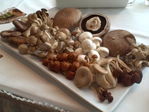 Mushrooms at BlogHer Food