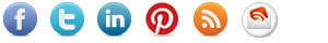 Connect with Diane Eblin on Social Media